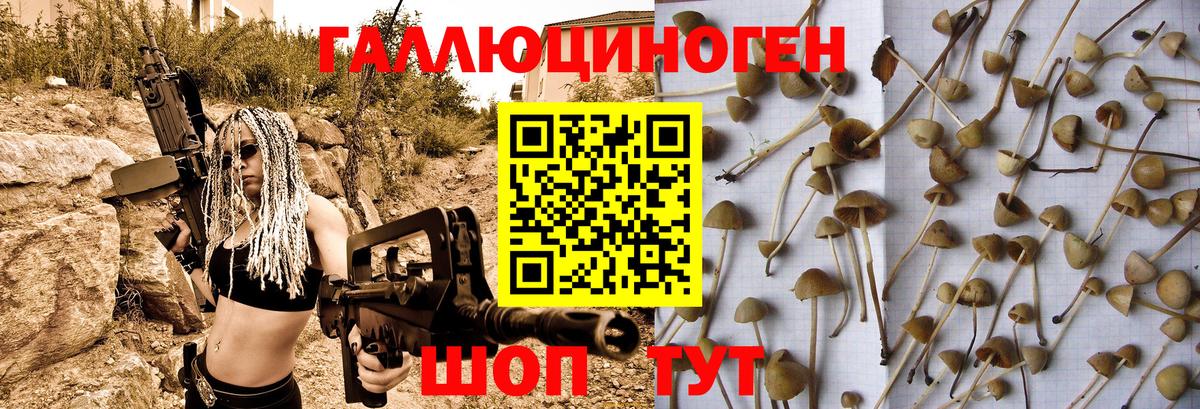 Псилоцибиновые грибы GOLDEN TEACHER  Вход с VPN  Озёры 