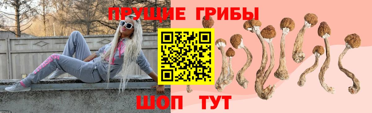 МАРИХУАНА  Озёры  Alpha PVP СОЛЬ кристаллы  Гашиш  Меф МЯУ МЯУ   ЭКСТАЗИ  КОКАИН  Вход с VPN 